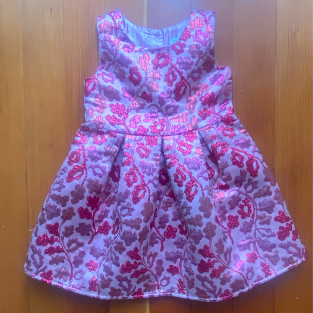 The Children's Place Pink and Red Floral Fancy Dress